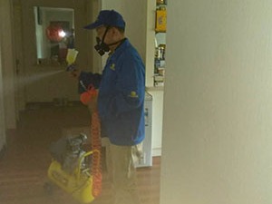 甲醛治理到底有沒(méi)有用