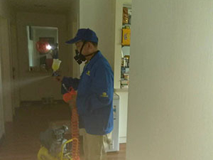 武漢新房除去甲醛之后要多久才可以入住？